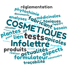 Nuage de mots Nuage de mots